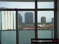 1 sypialniowe mieszkanie do wynajecia 650 ft, South Loop
