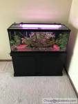 Fish Tank 75 gallon