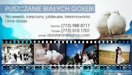 Wypuszczanie sniezno-bialych golabkow slubnych