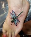 Classic Tattoo Zapisy na Sierpień!