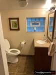 Wynajmę studio w basement od 1go sierpnia okolica Harlem i Addison