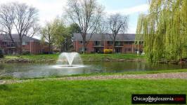 1200 $  · ARLINGTON HEIGHTS, IL