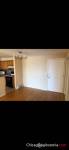 Beautiful 1 bedroom apartment
