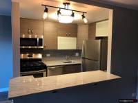 Condo 1 sypialniowe do wynajecia w Schaumburg od 1 listopada.