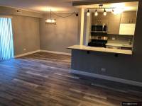 Condo 1 sypialniowe do wynajecia w Schaumburg od 1 listopada.