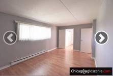Room w/ bathroom and laundry in an apartment in Itasca.