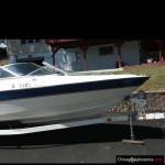 2005 Bayliner 195