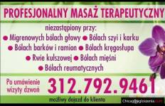 Profesjonalny Masaż