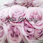 Spray Tan Special for the month of February!!! $25