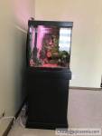 Fish Tank 75 gallon