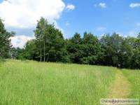 DUŻA PANORAMICZNA DZIAŁKA POD LASEM W JANKOWICACH