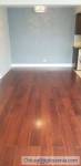 1 Bed 1 Bath Apartment