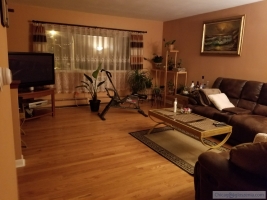 Wynajme jedno sypialniowy apartament dle lokatorów bez nałogów.