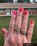 No chip manicure ZAPRASZAM