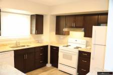 Do wynajecia od 1 Pazdziernika apartament w Arlington Heights