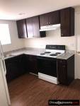 Mieszkanie 2 syp w Park Ridge ( garden apartment)
