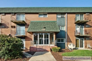 FOR SALE 1499 W Irving Park Road #B122
