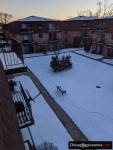 Mieszkanie dwusypialniowe w Das Plaines do wynajecia