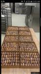 Pączki na FLORYDZIE!