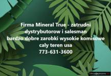 Zatrudnimy dyspozytorow i sprzedawcow