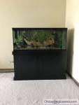 Fish Tank 75 gallon