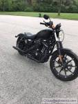 2016 Harley Davidson Iron 883XL
