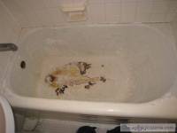 Tile Refinishing - Tile Reglazing - Full Bathroom