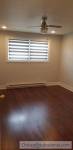 1 Bed 1 Bath Apartment