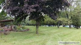 For sale beautiful Apple Canyon Lake house (near Galena Illinois)