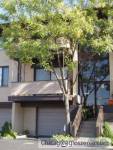 2 syp mieszkanie do wynajecia w Park Ridge