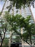 Studio For Rent in Lakeview $1,200