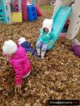 MOUNT PROSPECT IL. MIS Daycare