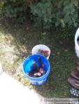Yard sale today and tomorrow