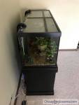 Fish Tank 75 gallon