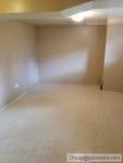Basement do wynajęcia