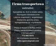 Firma transportowa zatrudni Specjalistę ELD w dziale safety
