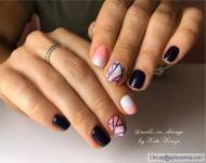No chip manicure Palatine