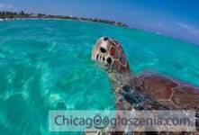 Mexico Vacation Special for January