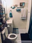 1 bedroom in a 3 bedroom Apartment for woman
