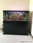 Fish Tank 75 gallon