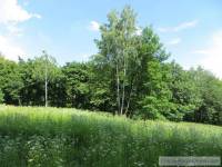 DUŻA PANORAMICZNA DZIAŁKA POD LASEM W JANKOWICACH