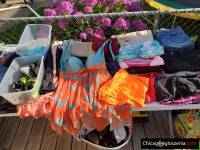 Garage sale at Garage sale at 4107 N Olcott Ave, Norridge