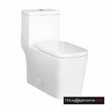 One Piece Toilets