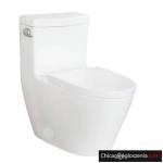 One Piece Toilets