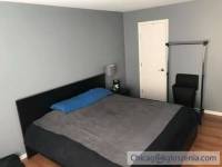 Roommate wanted for March 1st!