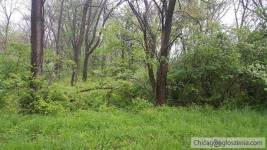Lot for sale, Lake Thunderbird, Putnam, ILLINOIS