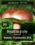 Po raz kolejny w tym sezonie jedziemy NA GRZYBY.