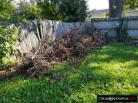Junk removal nad construction debris clean up CARPENTETSVILLE IL.