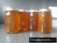 Miod wielokwiatowy z Wisconsin 10-06-2019 32oz.$20