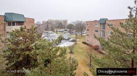 Elk Grove Village do wynajecia mieszkanie